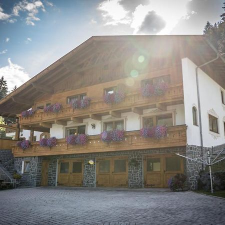 Appartement Landhaus Maria à Neustift im Stubaital Extérieur photo