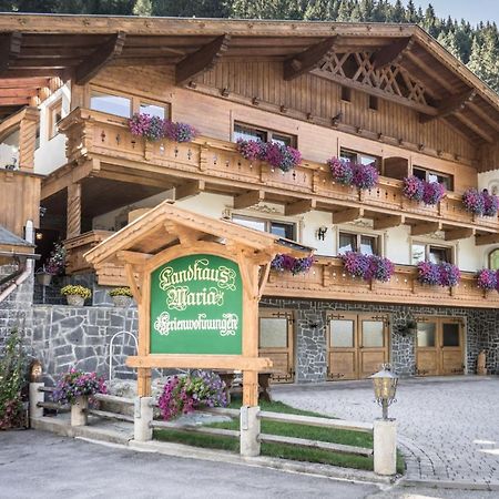 Appartement Landhaus Maria à Neustift im Stubaital Extérieur photo